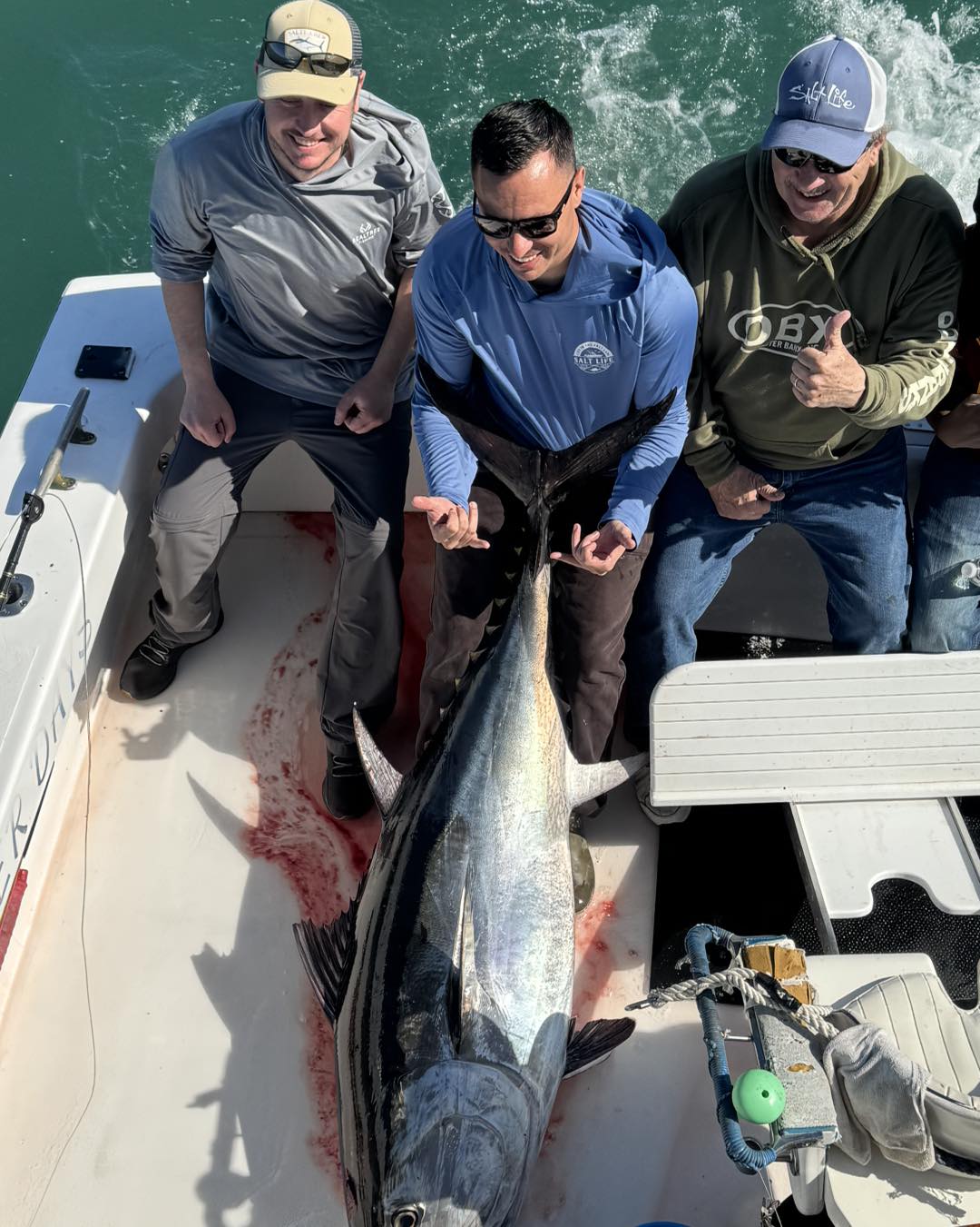 Bluefin tuna on Longer Days