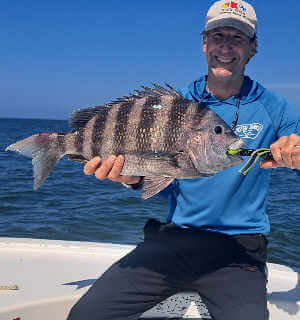 Sheepshead on Speck-tackler
