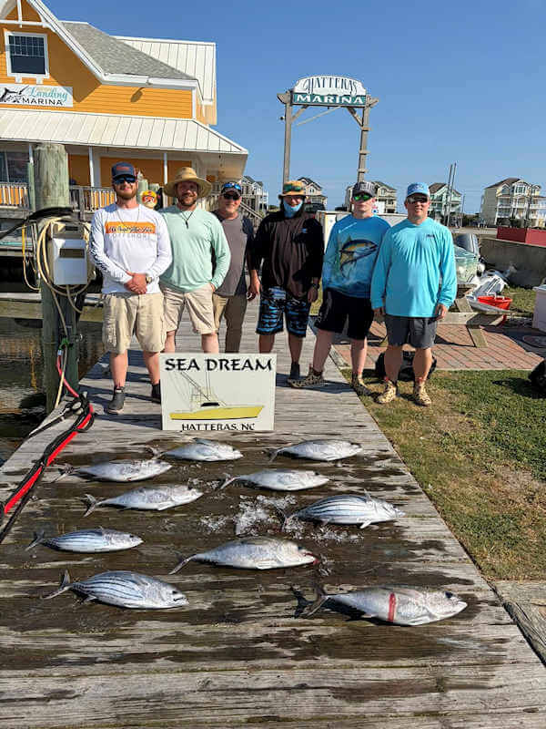 Bags of ballyhoo for offshore trolling bait.