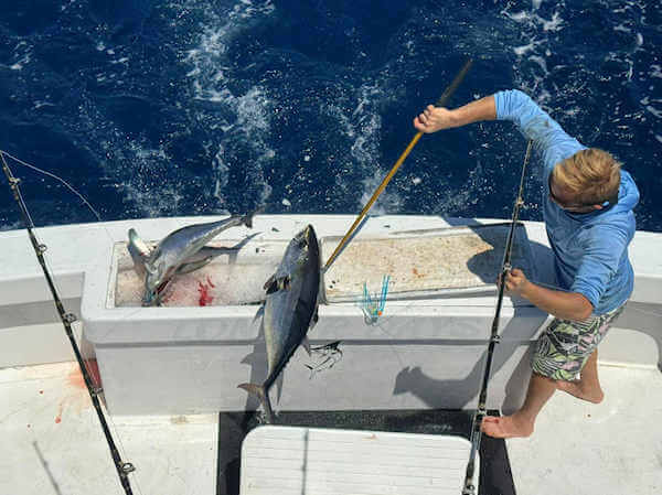 Longer Days mate gaffs yet another tuna