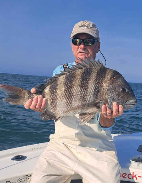 Capt. Rick showing off large sheepshead it.