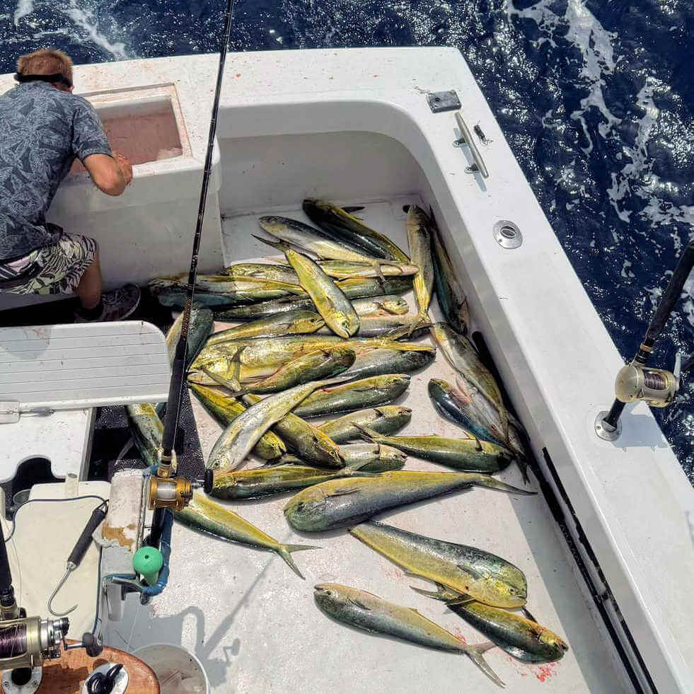 Longer Days charter with great catch out of Hatteras, NC.