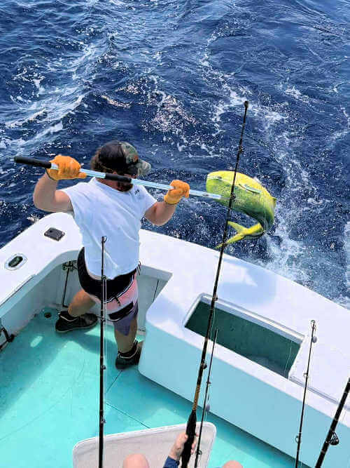 Gecko charter with great catch out of Ocracoke, NC.