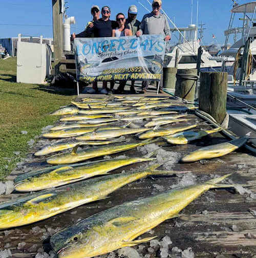 Longer Days Charters daily offshore fish catches off Cape Hatteras.