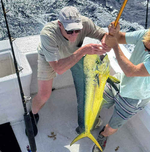 Longer Days Charters daily offshore fish catches off Cape Hatteras.