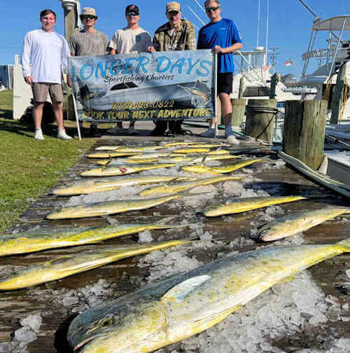 Longer Days Charters daily offshore fish catches off Cape Hatteras.