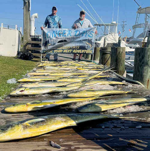 Longer Days Charters daily offshore fish catches off Cape Hatteras.