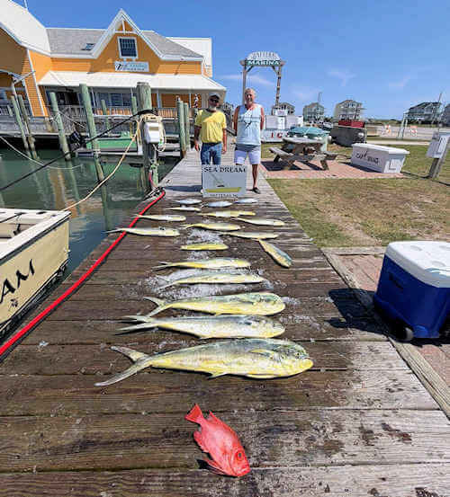 Sea Dream charter group with great catch out of Hatteras, NC.