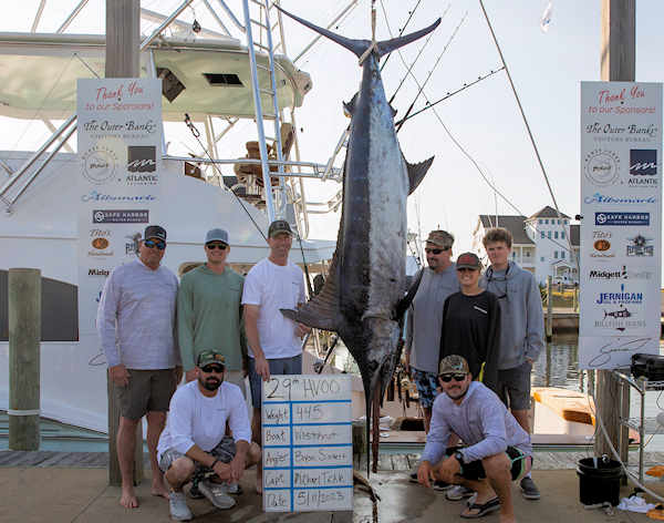 Image of marlin being weighed at Hatteras Village Offshore Open