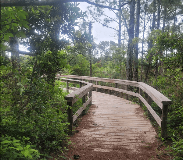 wooden bridge through part of the Hammock Hills Nature Trail